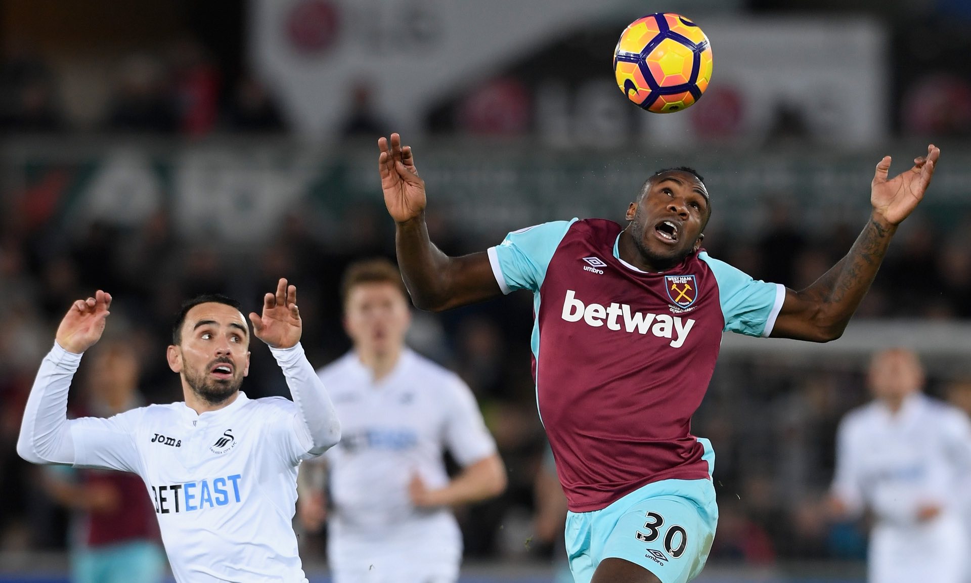 多支持者的 多支持者的